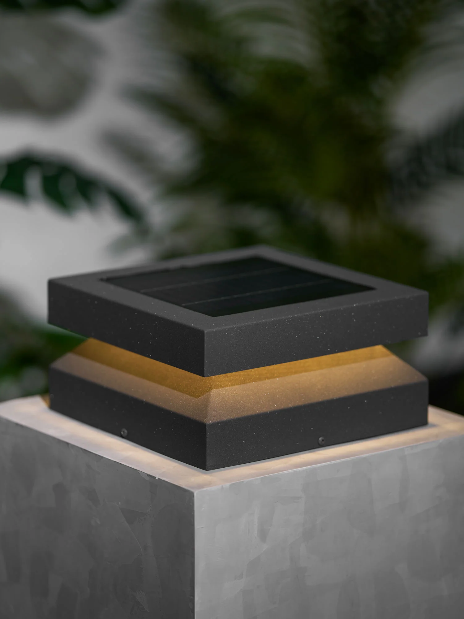 Thumbnail 24